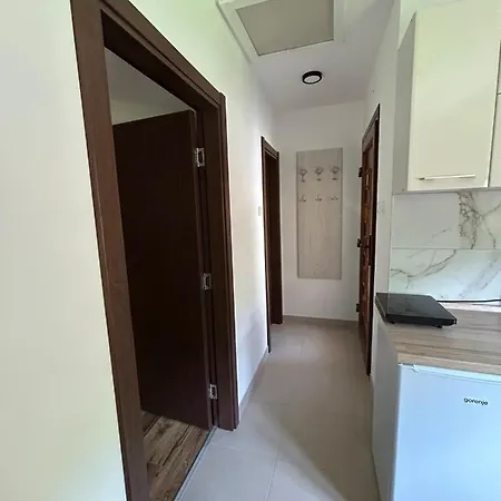 Domacinstvo Maric * Ivanjica