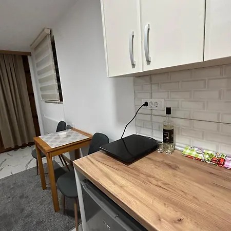 Apartment Domacinstvo Maric Ivanjica