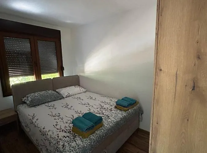 Domacinstvo Maric 公寓 伊万尼察