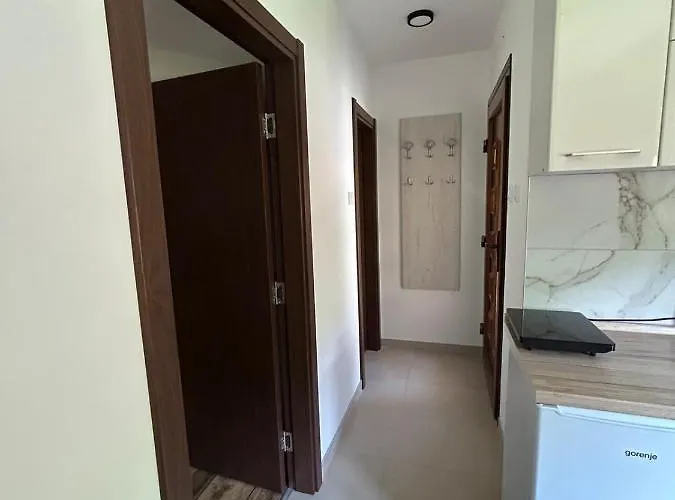 Domacinstvo Maric * 伊万尼察